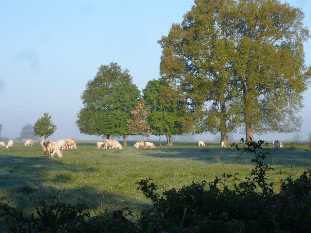 Bed and Breakfast La Thibaude - Livry Livry  Exterior foto